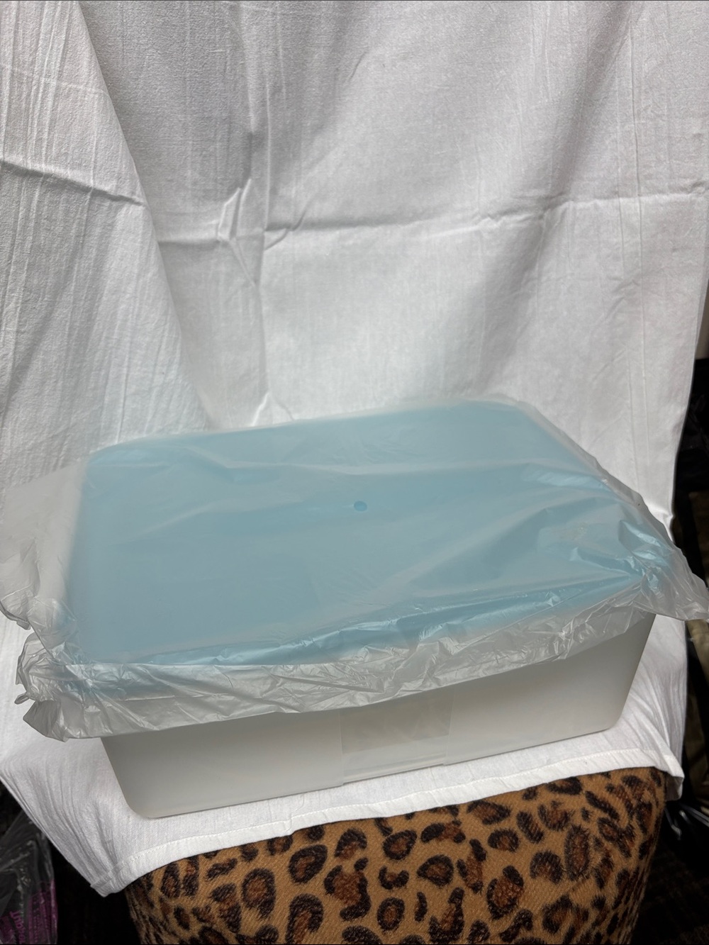 Tupperware Container with trays inside - Picture 5 of 5